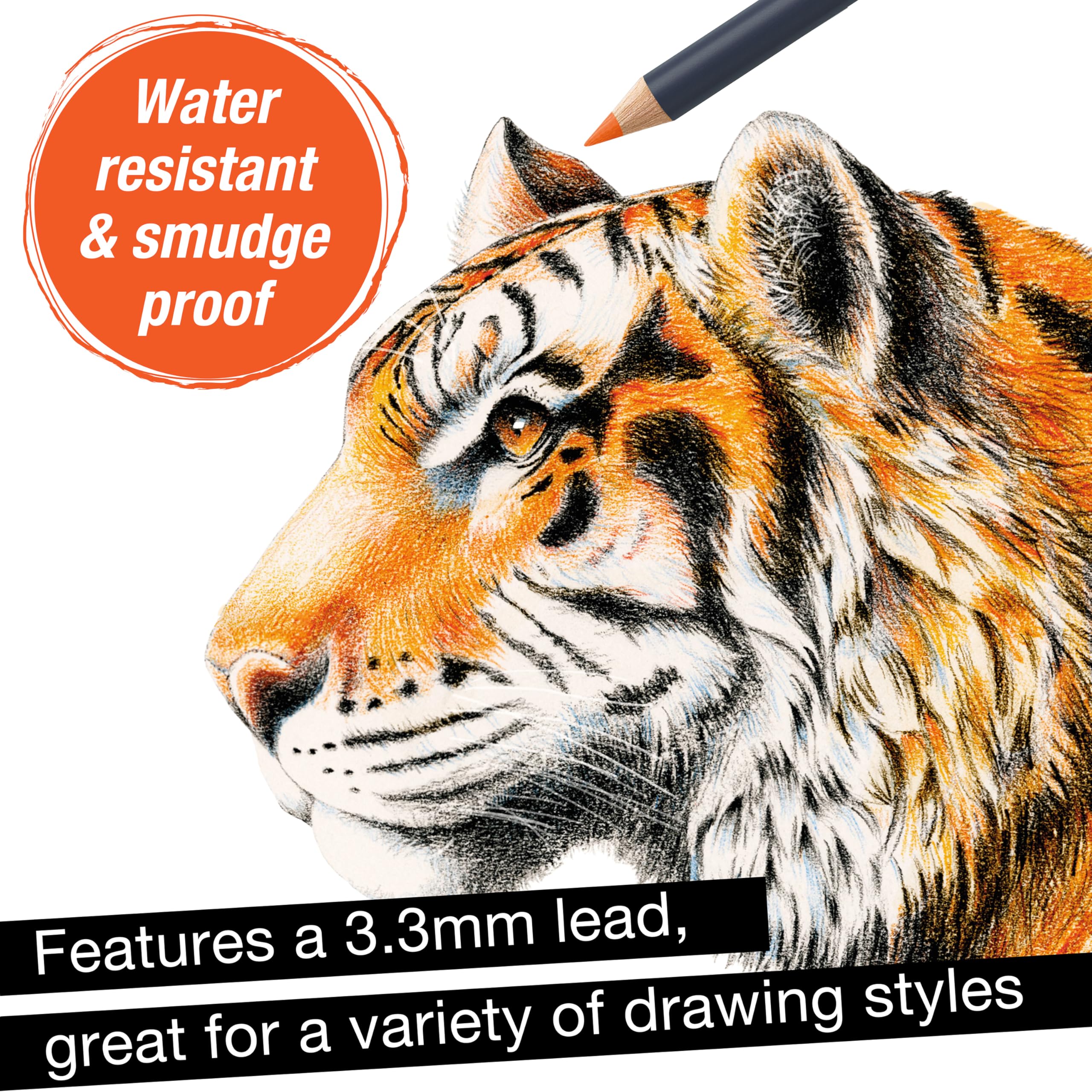 Faber-Castell Goldfaber Color Pencils: Professional Colored Pencils with Smooth Laydown, Rich Pigment, Break-Resistant Cores, Great for Beginners, Teens & Adult Coloring (12 Count) - Image 4